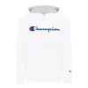 Champion Little Boys Signature Script Fleece Hoodie -Little Me Shop 22527315 fpx
