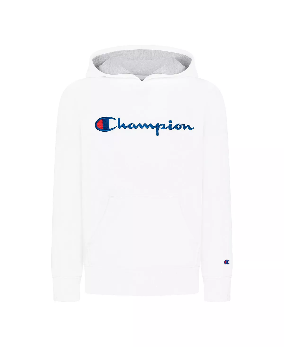 Champion Little Boys Signature Script Fleece Hoodie